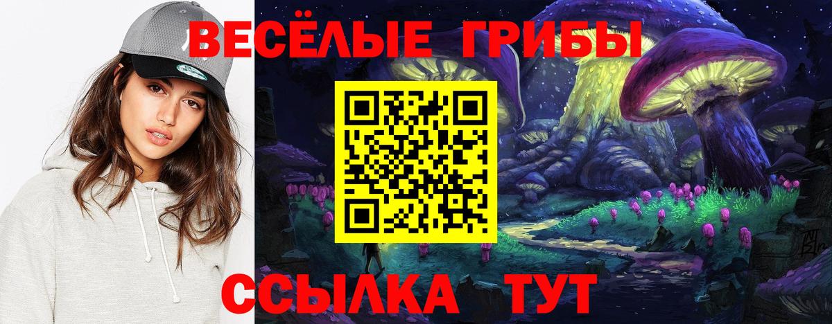 Псилоцибиновые грибы Psilocybe Вологда