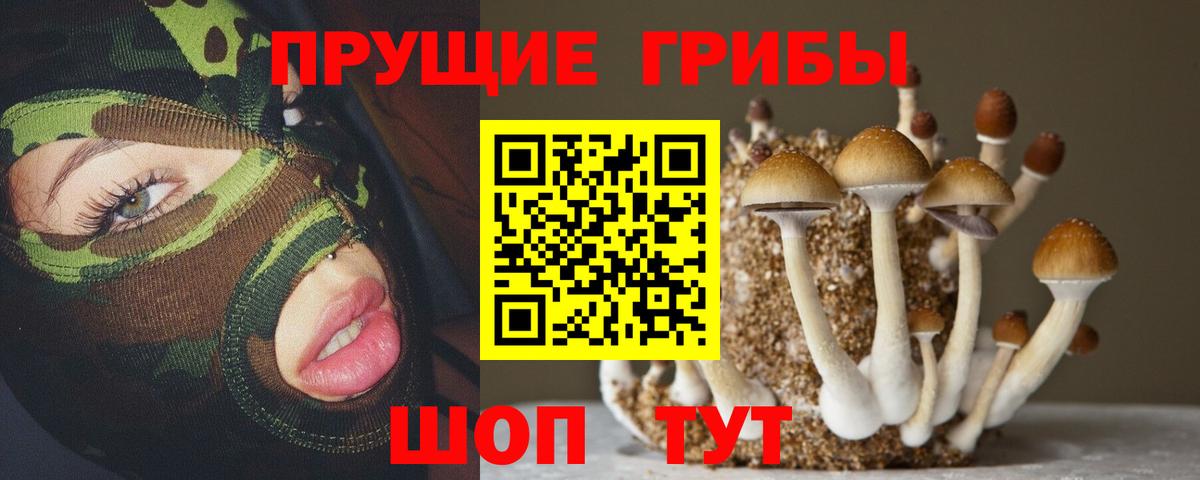Псилоцибиновые грибы Psilocybe  Вход с VPN  Вологда 